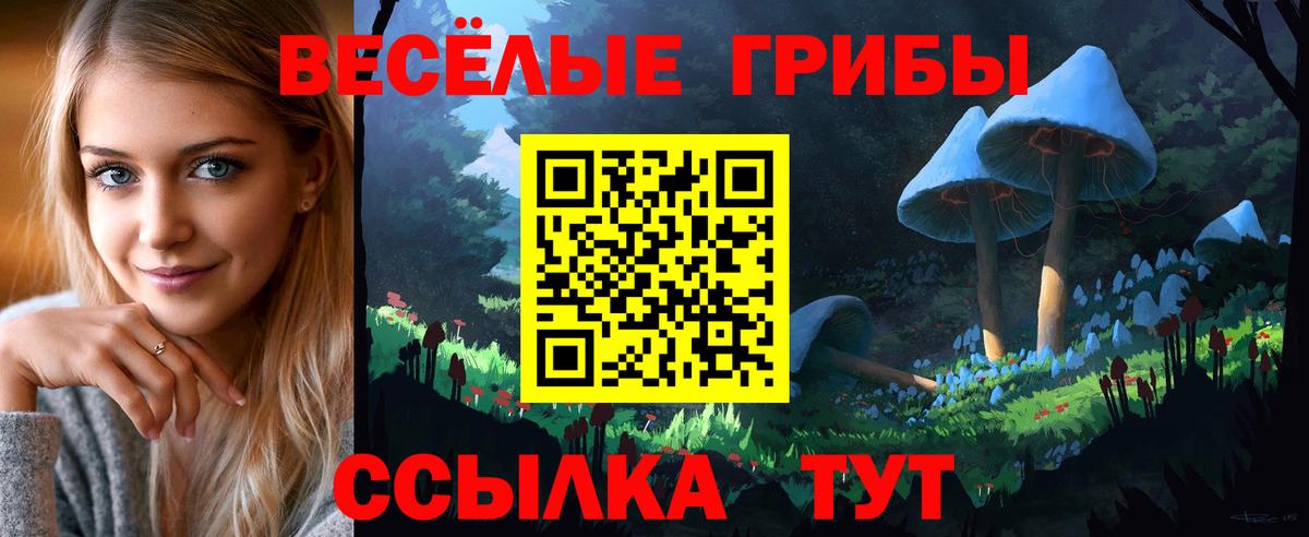 Галлюциногенные грибы Magic Shrooms  Вход с VPN  Галлюциногенные грибы прущие грибы  хочу наркоту  Йошкар-Ола 